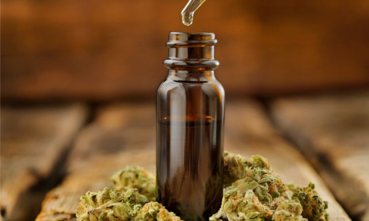 cbd oil canada