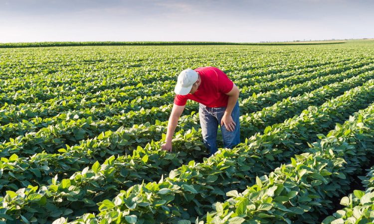 agricultural industry