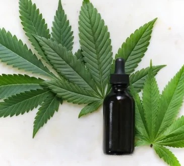 CBD Oil