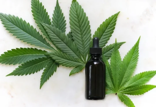 CBD Oil