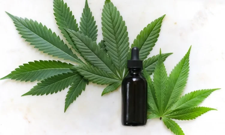 CBD Oil